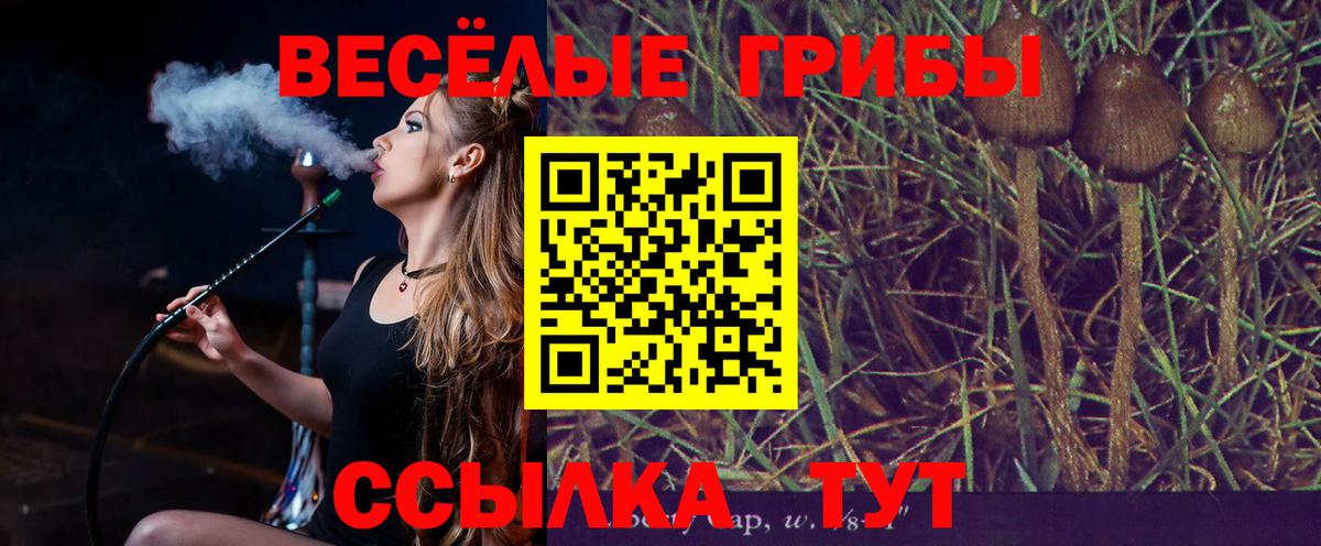 Галлюциногенные грибы мухоморы  Вход с VPN  Советский 